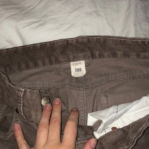J crew brown cords